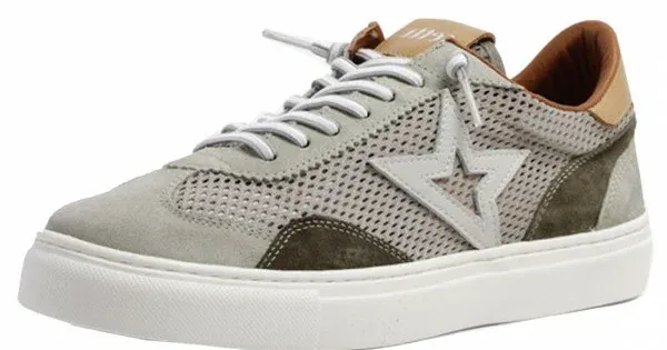 Cetti C-1259 V24 Colores
